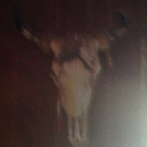 Meet your Posher, Patti